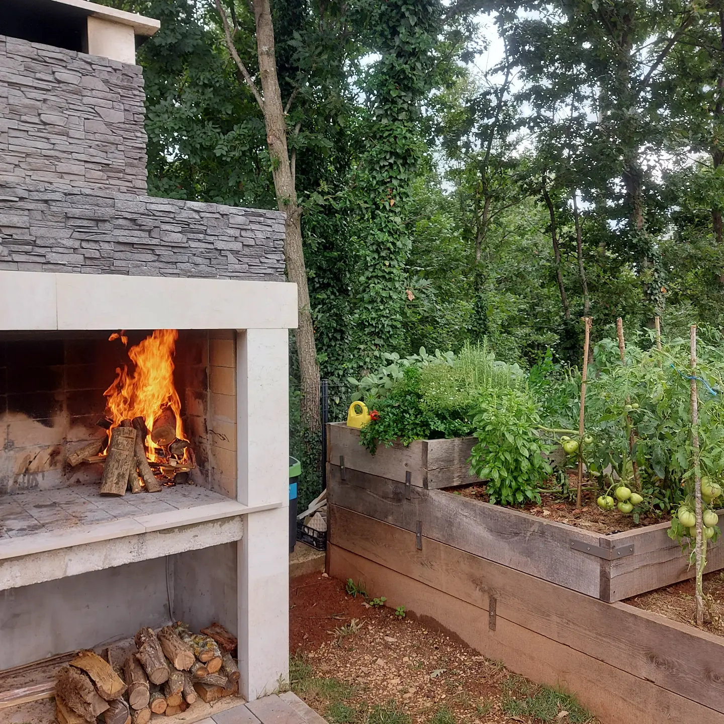 Okusi središnje Istre: Što jesti, gdje jesti i zašto ćete se zaljubiti u središnju Istru - Flora Guest House 